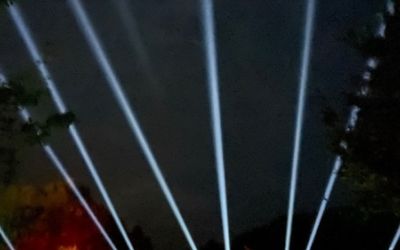 Laserstrahlen in den Himmel zwischen bunt beleuchteten Bäumen im Park.